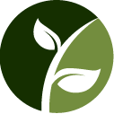Arborvitae Shaping Pros