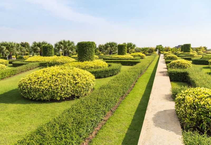 Formal Garden Shaping