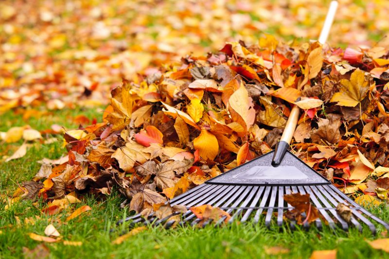 Autumn Leaf Collection Service
