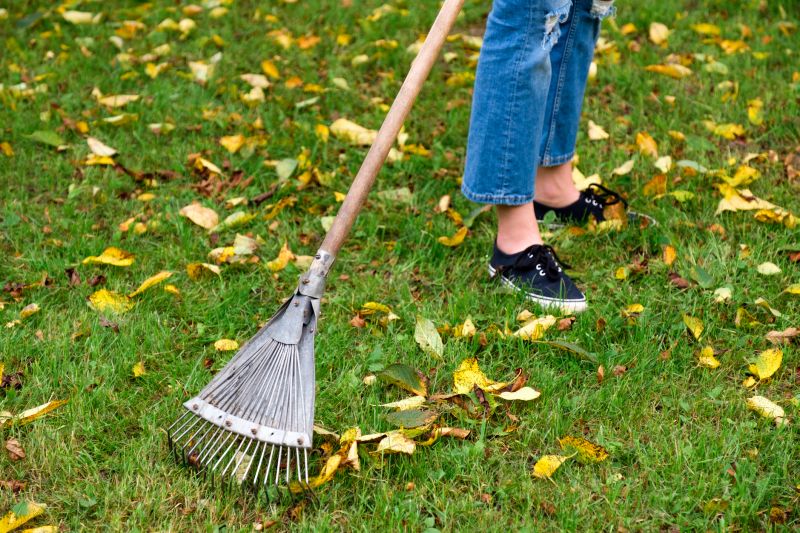 Leaf Raking Service