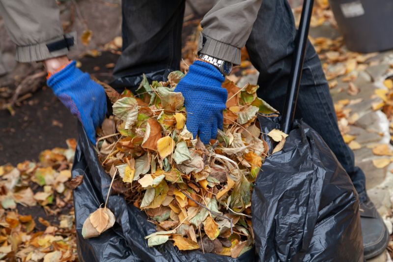 Leaf Disposal Solutions