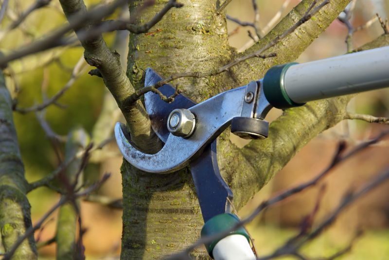 Detail Pruning