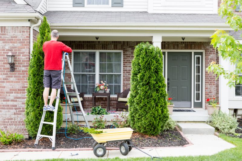 Increase Your Arborvitae Shaping Business with an AI Driven, Targeted Website